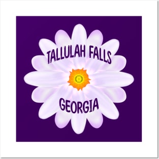 Tallulah Falls Georgia Posters and Art